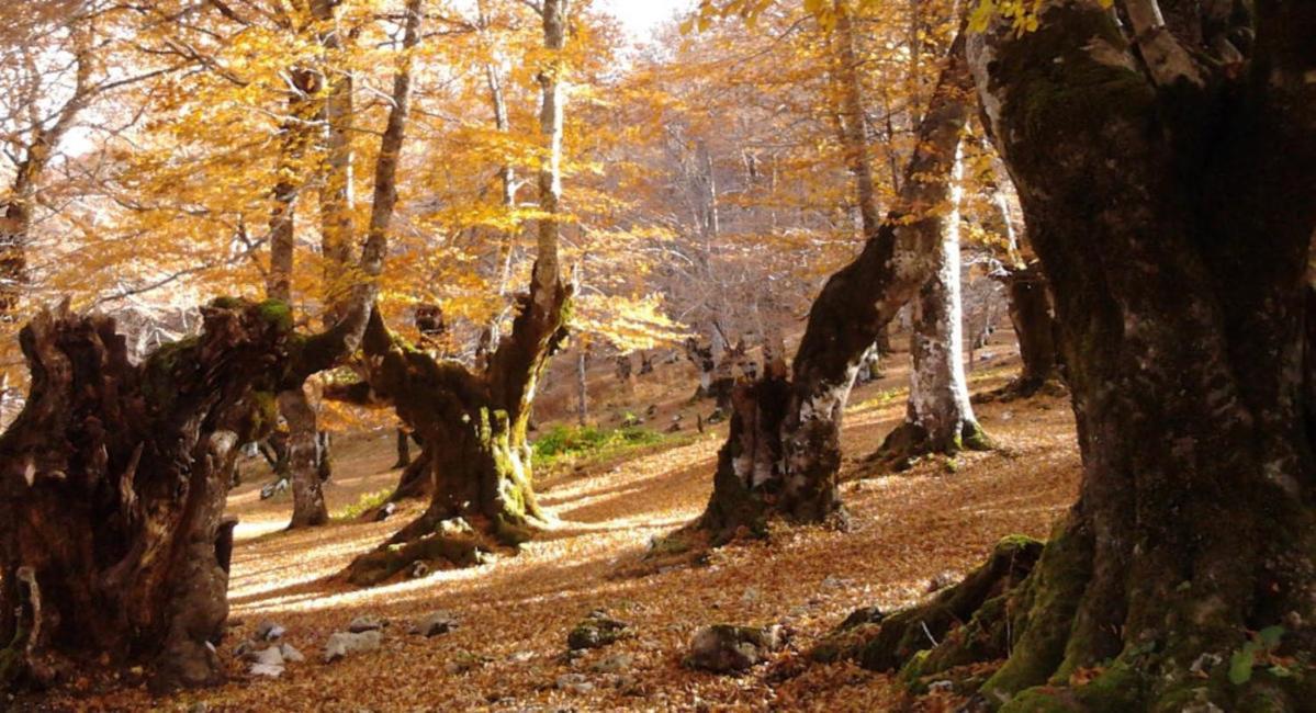 Casa Vacanze Lappe Pratola Peligna Εξωτερικό φωτογραφία